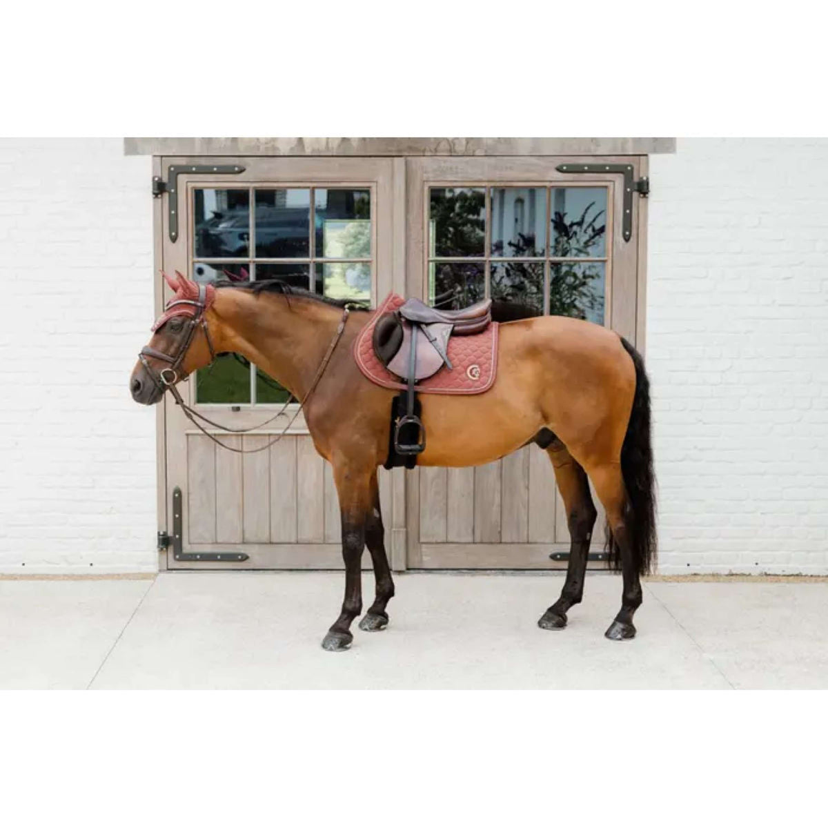 Kentucky Horsewear Cuffietta Wellington 3D Logo Fucsia