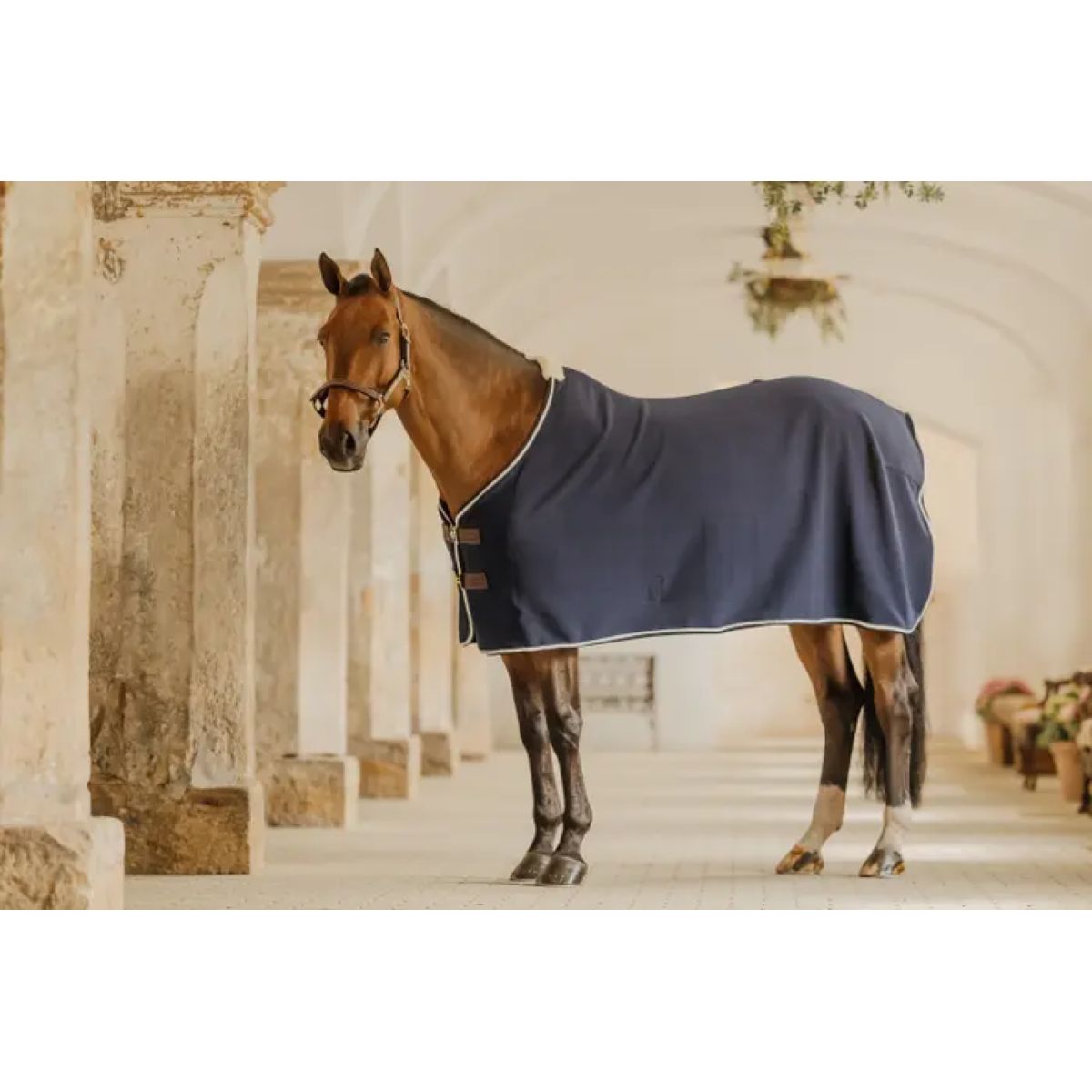 Kentucky Horsewear Coperta in pile Show Vegan Wool Navy