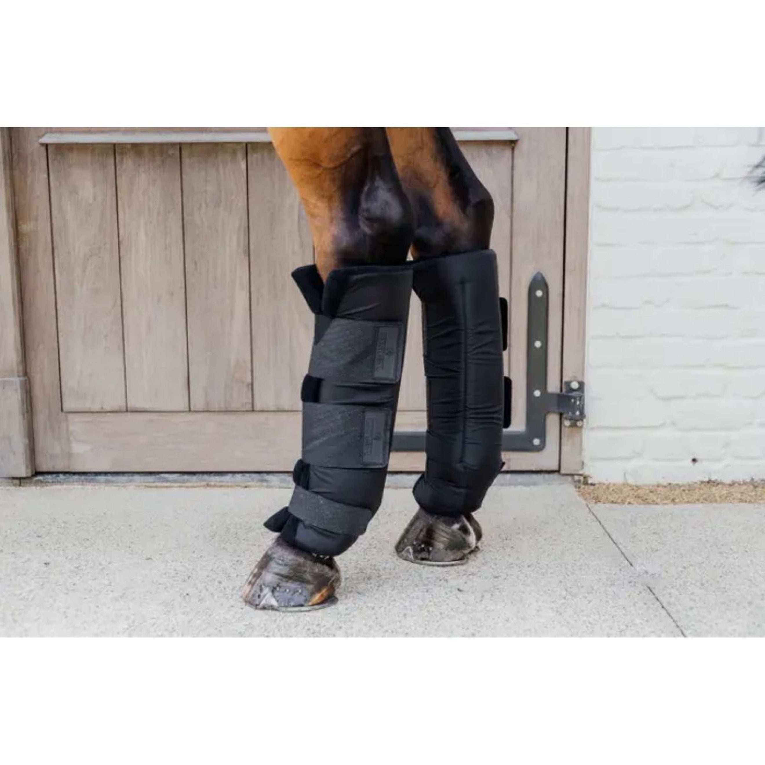 Kentucky Horsewear Protettori da stalla PROtect Classic Nero Kentucky Horsewear Protettori da stalla PROtect Classic Nero