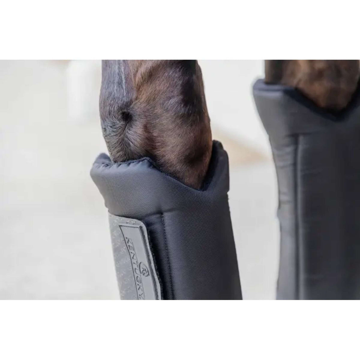 Kentucky Horsewear Protettori da stalla PROtect Classic Nero