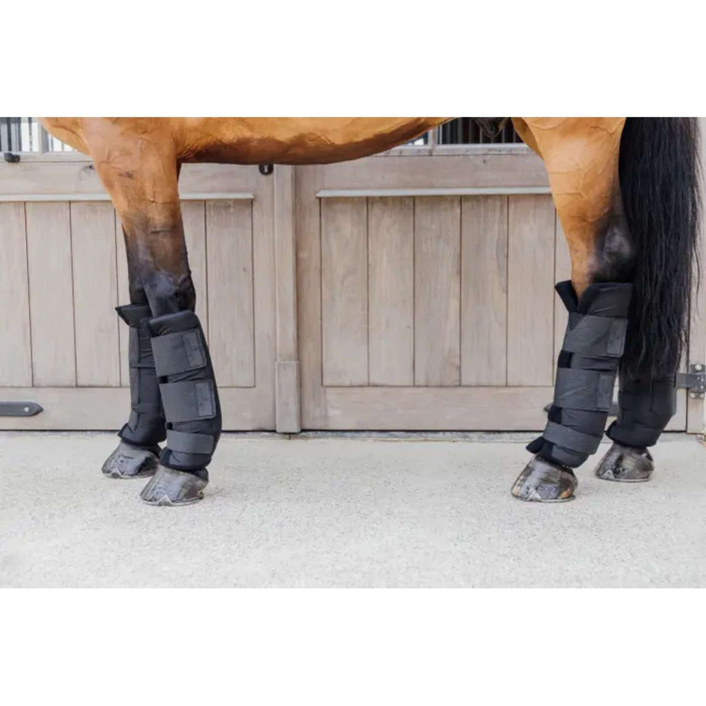 Kentucky Horsewear Protettori da stalla PROtect Classic Nero