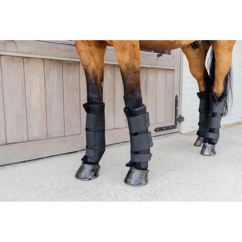 Kentucky Horsewear Protettori da stalla PROtect Classic Nero