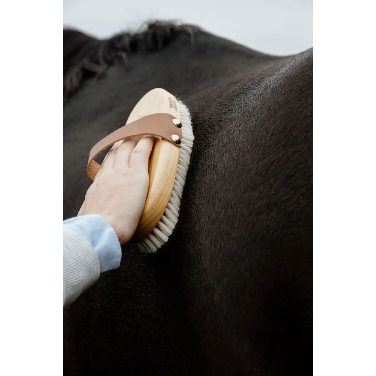 Kentucky Horsewear Spazzola Soft Shine