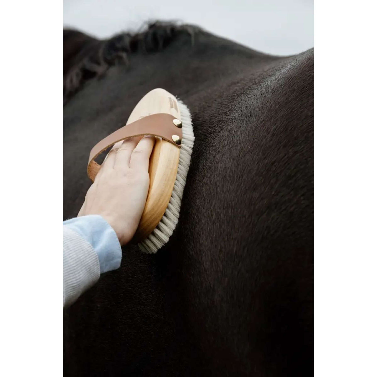 Kentucky Horsewear Spazzola Soft Shine