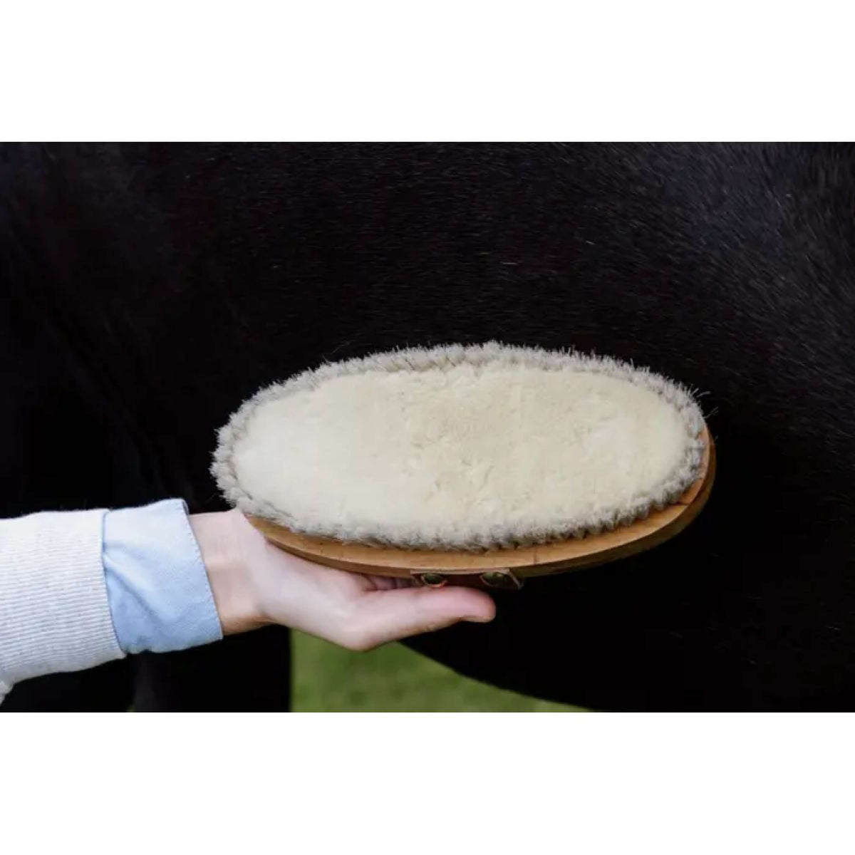 Kentucky Horsewear Spazzola Soft Shine