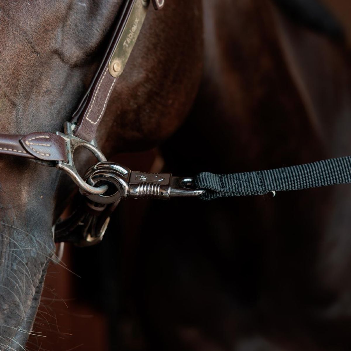 Kentucky Corda di fissaggio Safety Nero