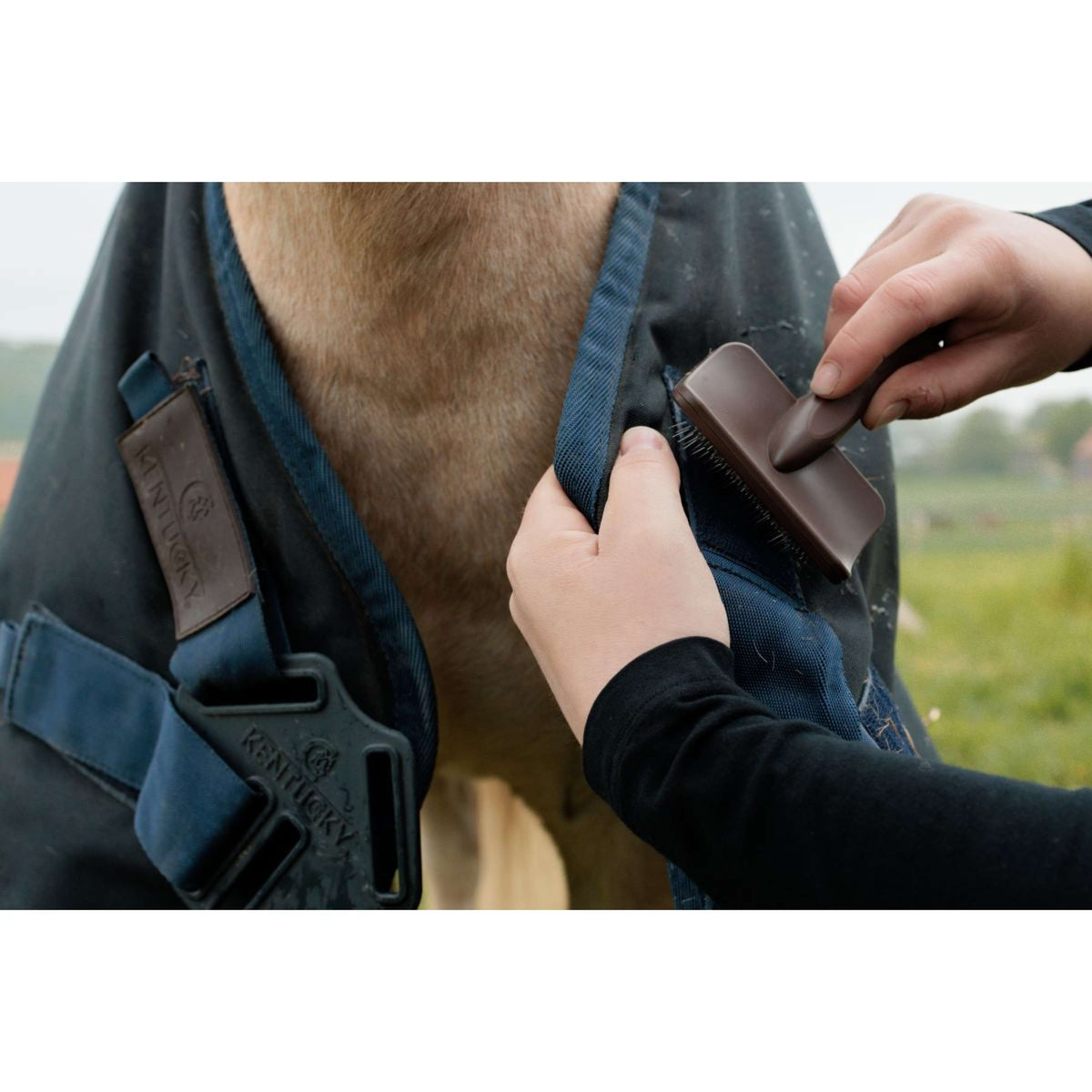 Grooming Deluxe by Kentucky Velcro Cleaning Brush Marrone