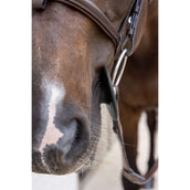 Kentucky Anelli da filetto Bit Ring Nero