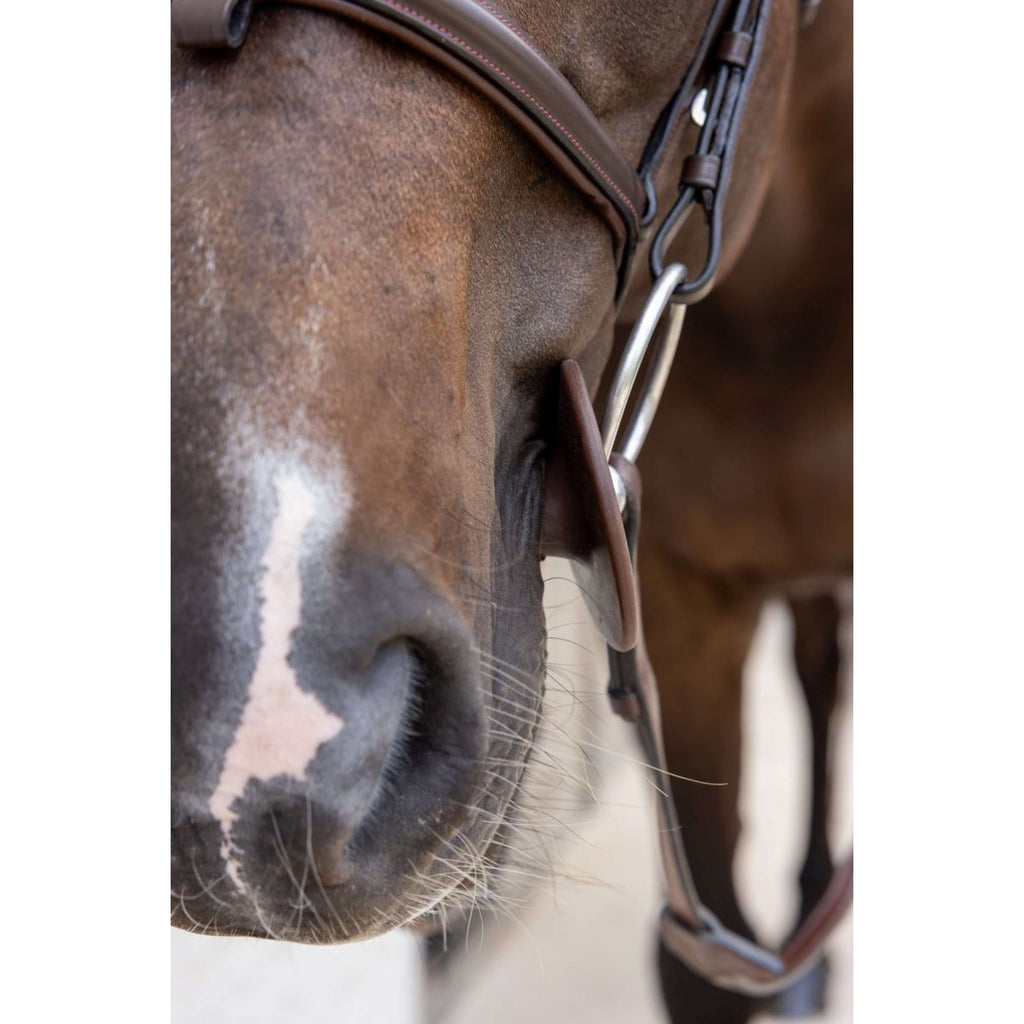 Kentucky Anelli da filetto Bit Ring Marrone