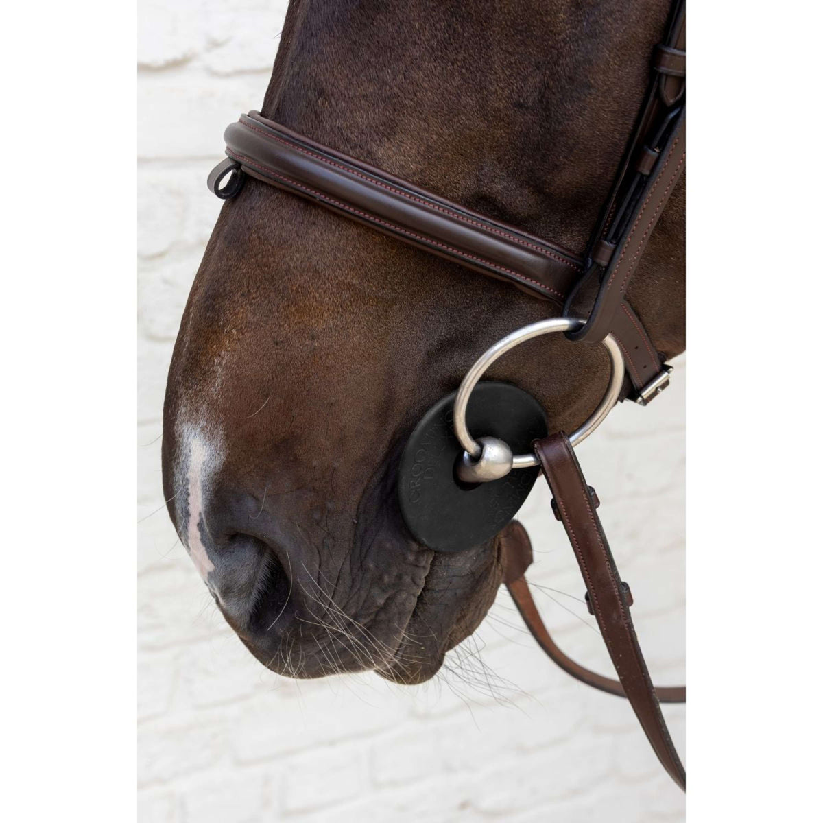 Kentucky Anelli da filetto Bit Guard Nero