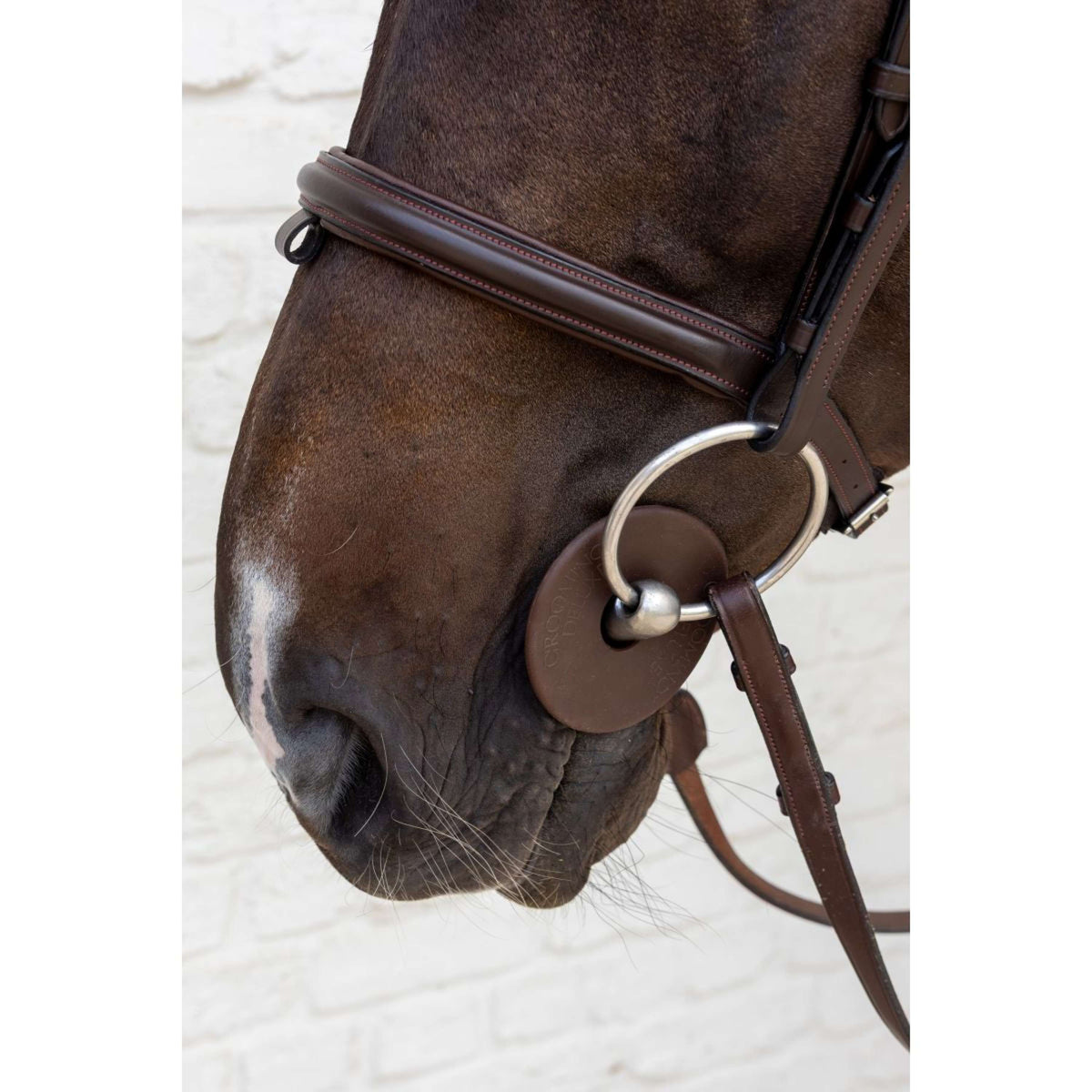 Kentucky Anelli da filetto Bit Guard Marrone