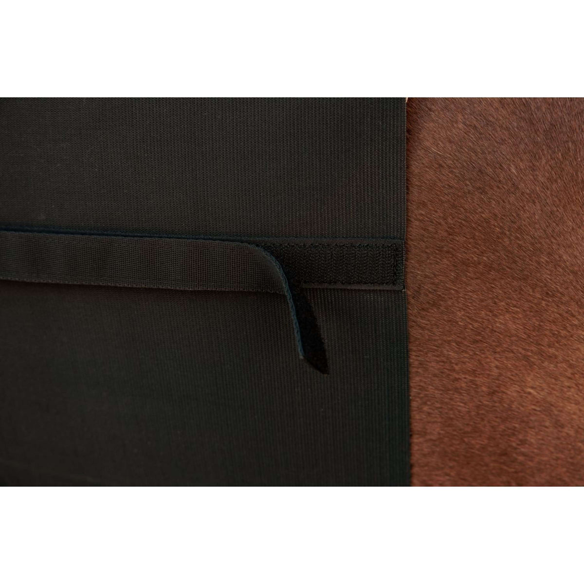 Kentucky Coprigirello Nero