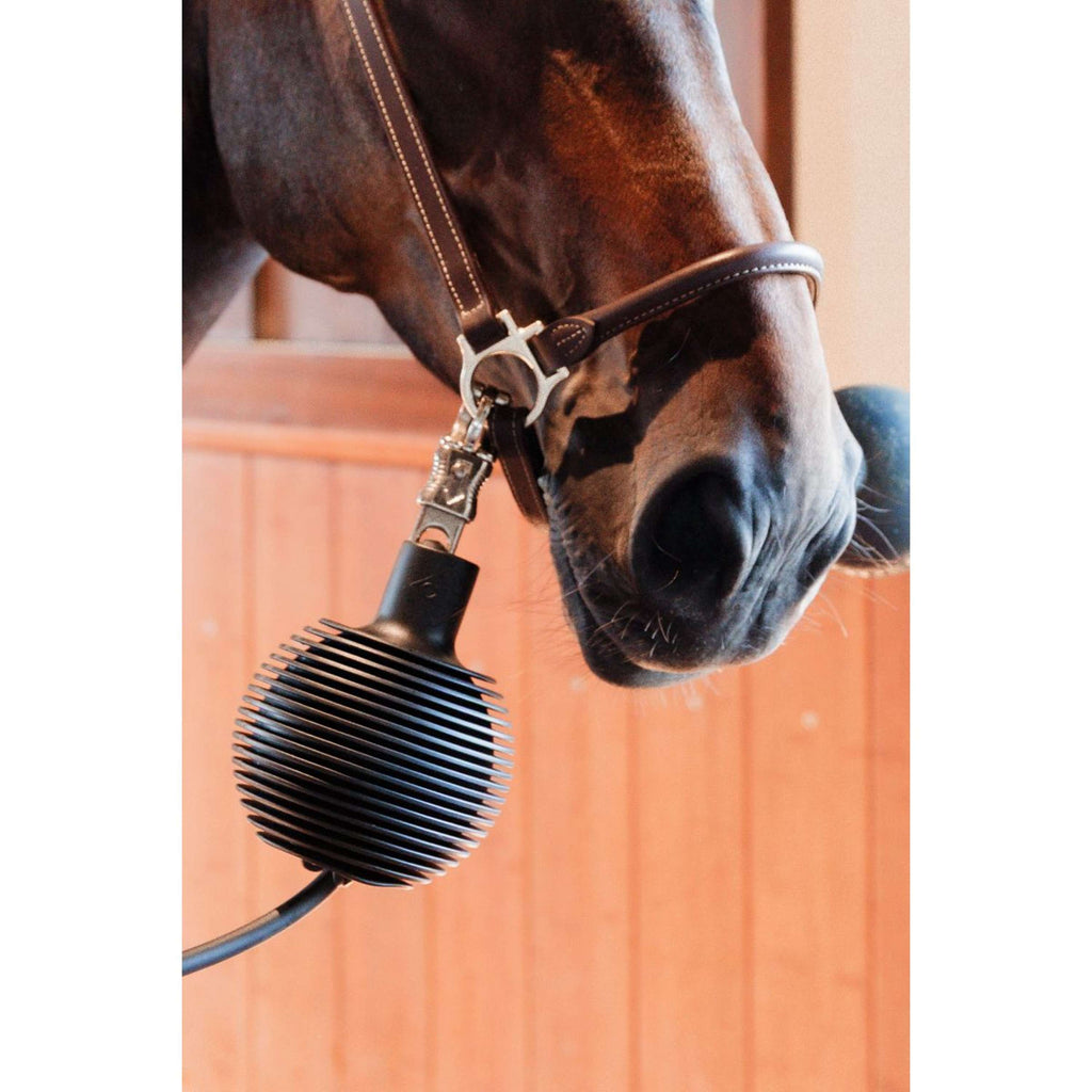 Kentucky Palla di protezione Pro Rubber Nero