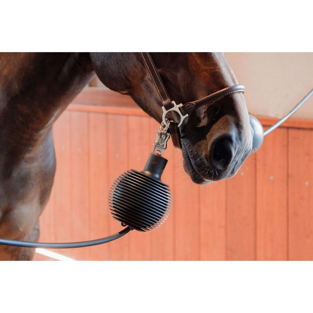 Kentucky Palla di protezione Pro Rubber Nero