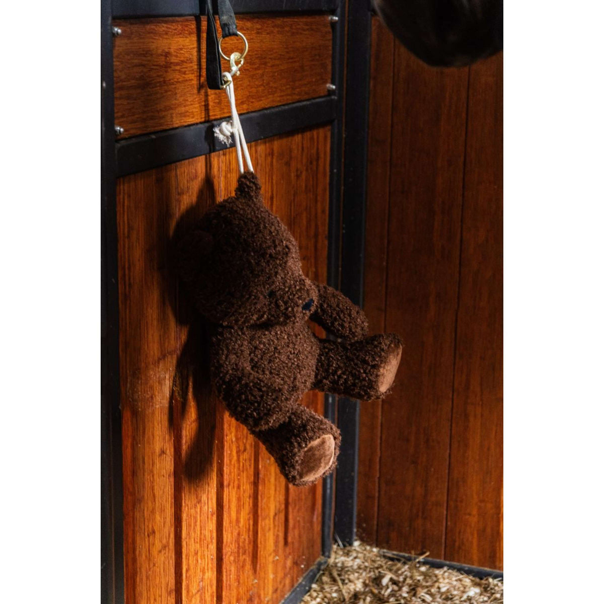 Kentucky Rilassa il cavallo giocattolo Bear Marrone