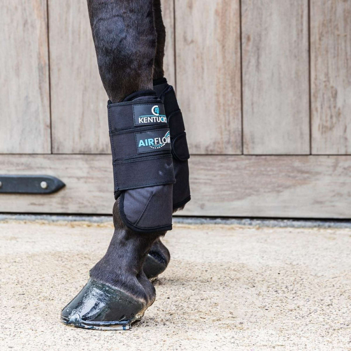 Kentucky Horsewear Stivali da completo 3D Air Flow Delicato sulla pelle Front Nero