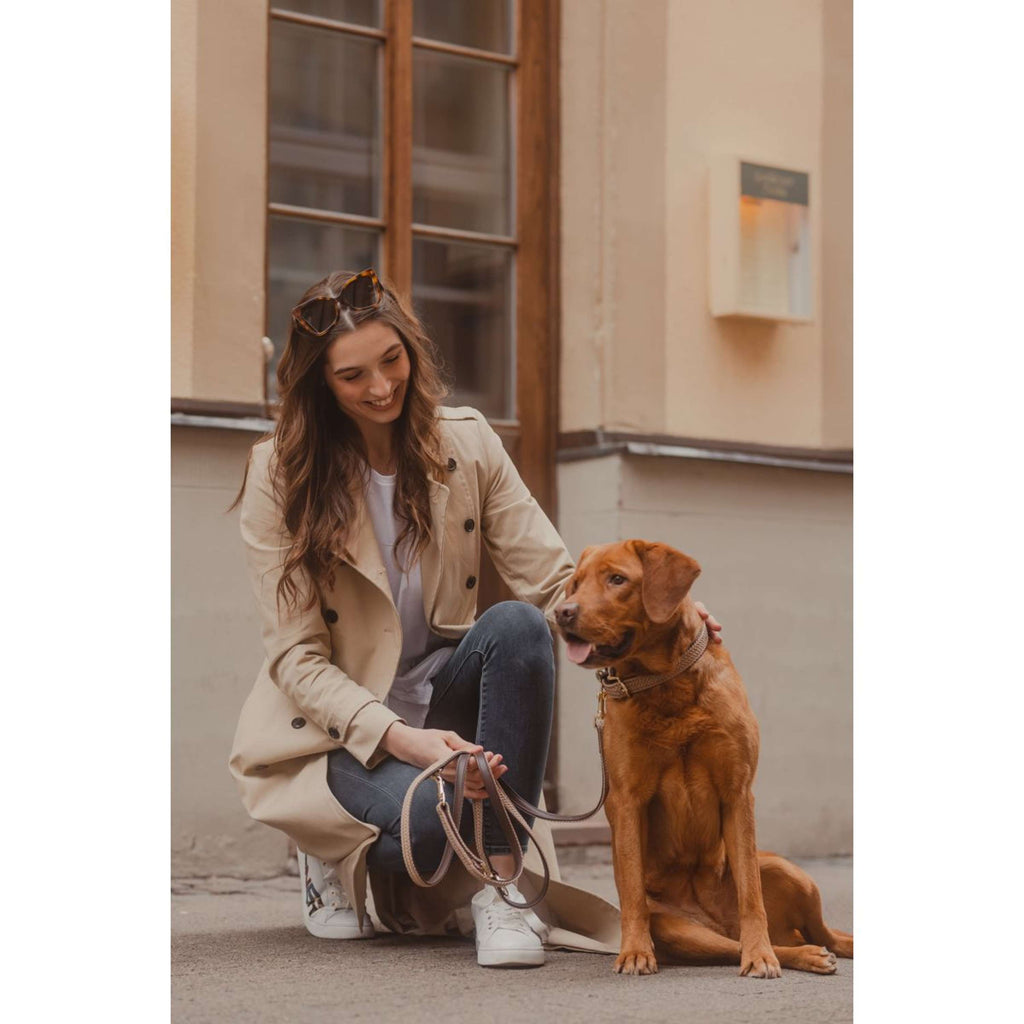 Kentucky Horsewear Collare Beige