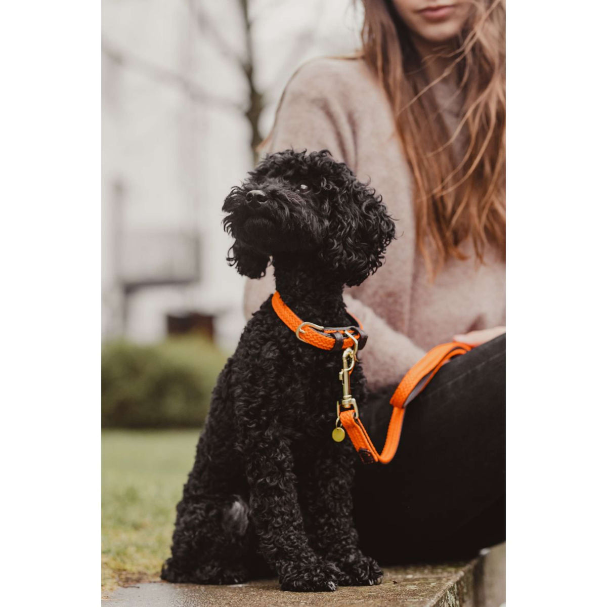 Kentucky Horsewear Halsband Nylon intrecciato per cani Arancia