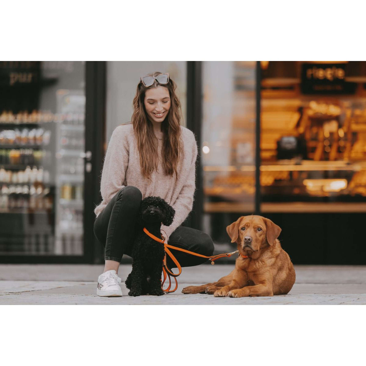 Kentucky Horsewear Halsband Nylon intrecciato per cani Arancia