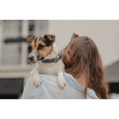 Kentucky Dogwear Collare per Cane Soft Vegan Leather Blu marino/beige