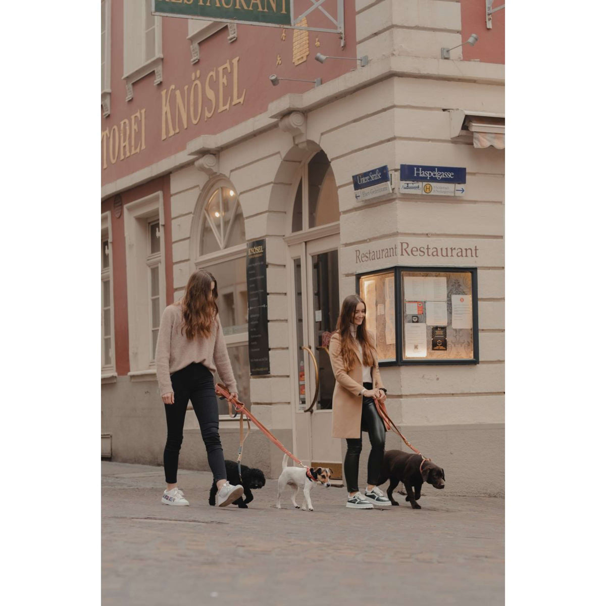 Kentucky Dogwear Collare per Cane Soft Vegan Leather Blu marino/beige