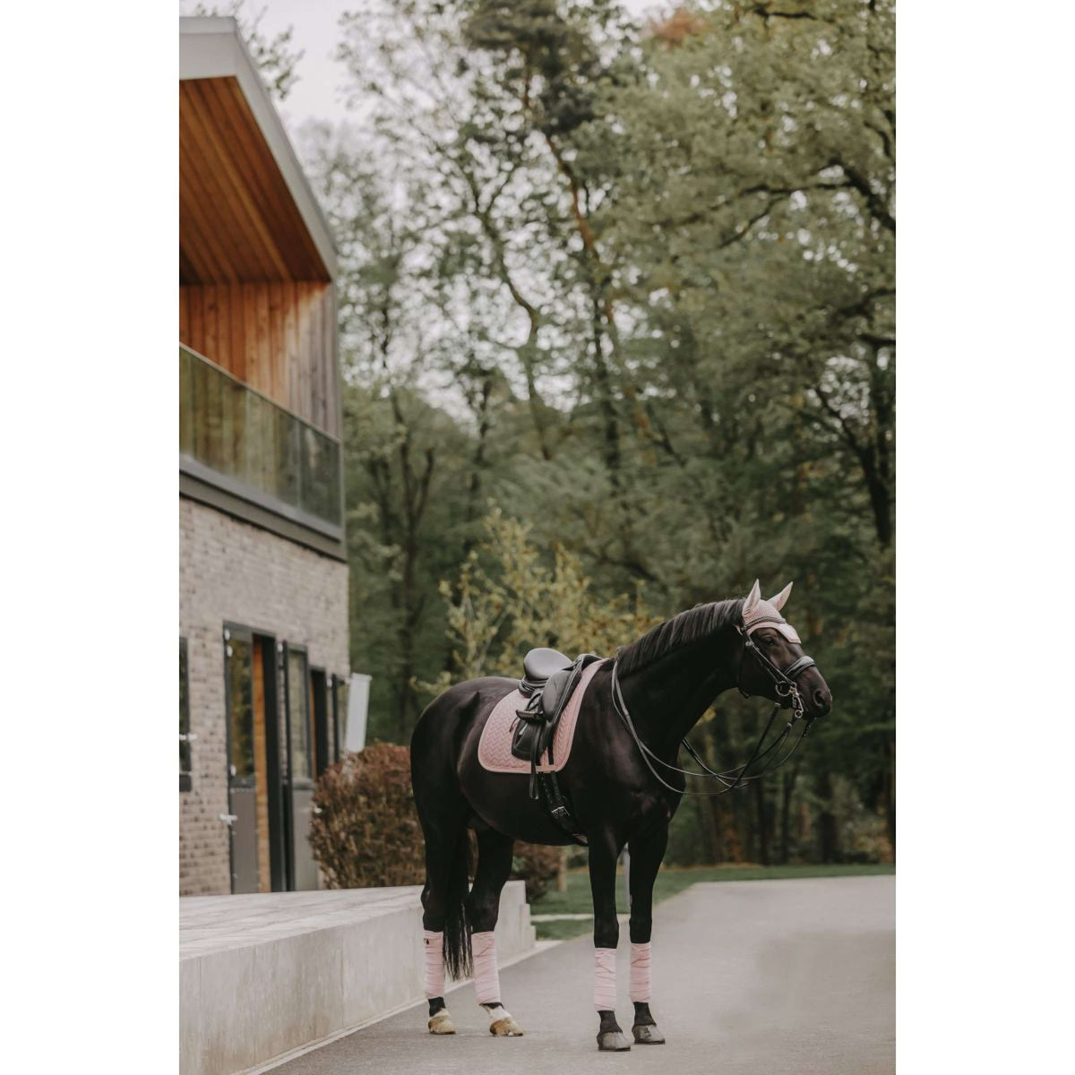 Kentucky Horsewear Sottosella Velvet Pearls Dressage Soft Rose