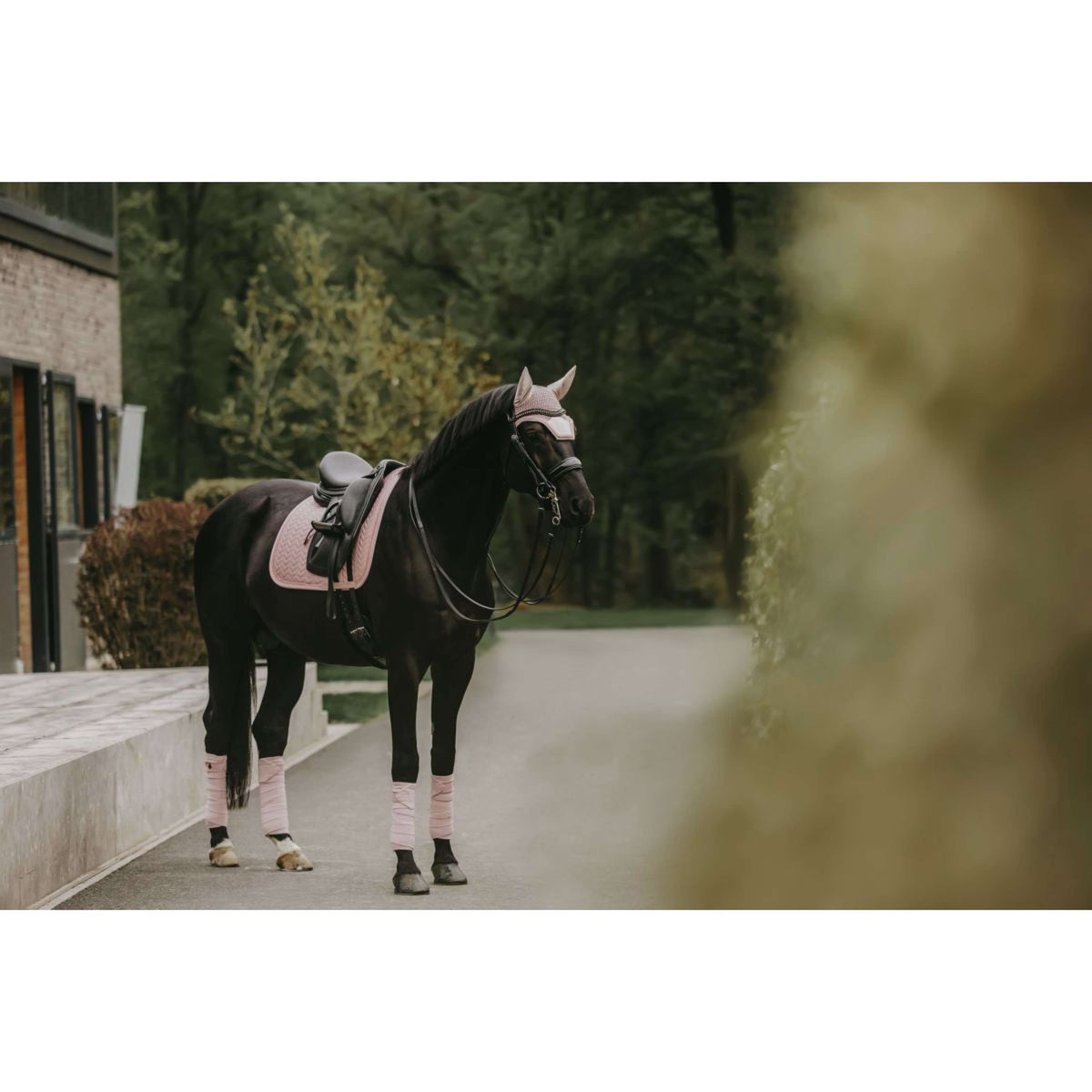Kentucky Horsewear Sottosella Velvet Pearls Dressage Soft Rose