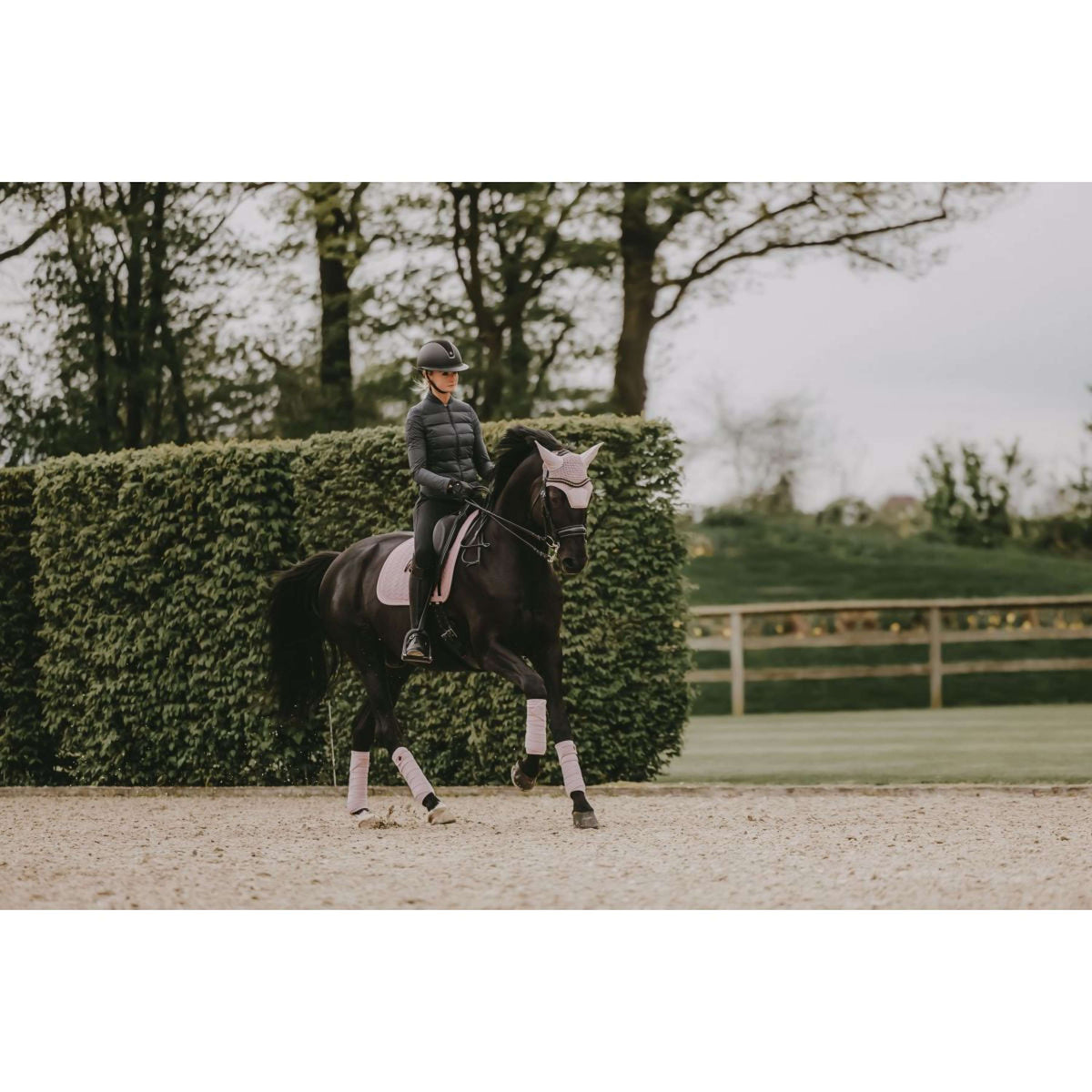 Kentucky Horsewear Sottosella Velvet Pearls Dressage Soft Rose