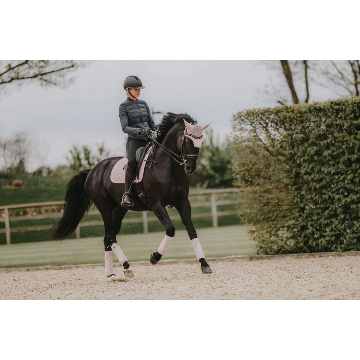 Kentucky Horsewear Sottosella Velvet Pearls Dressage Soft Rose