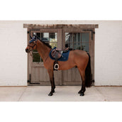 Kentucky Sottosella Sparkling saltando Navy