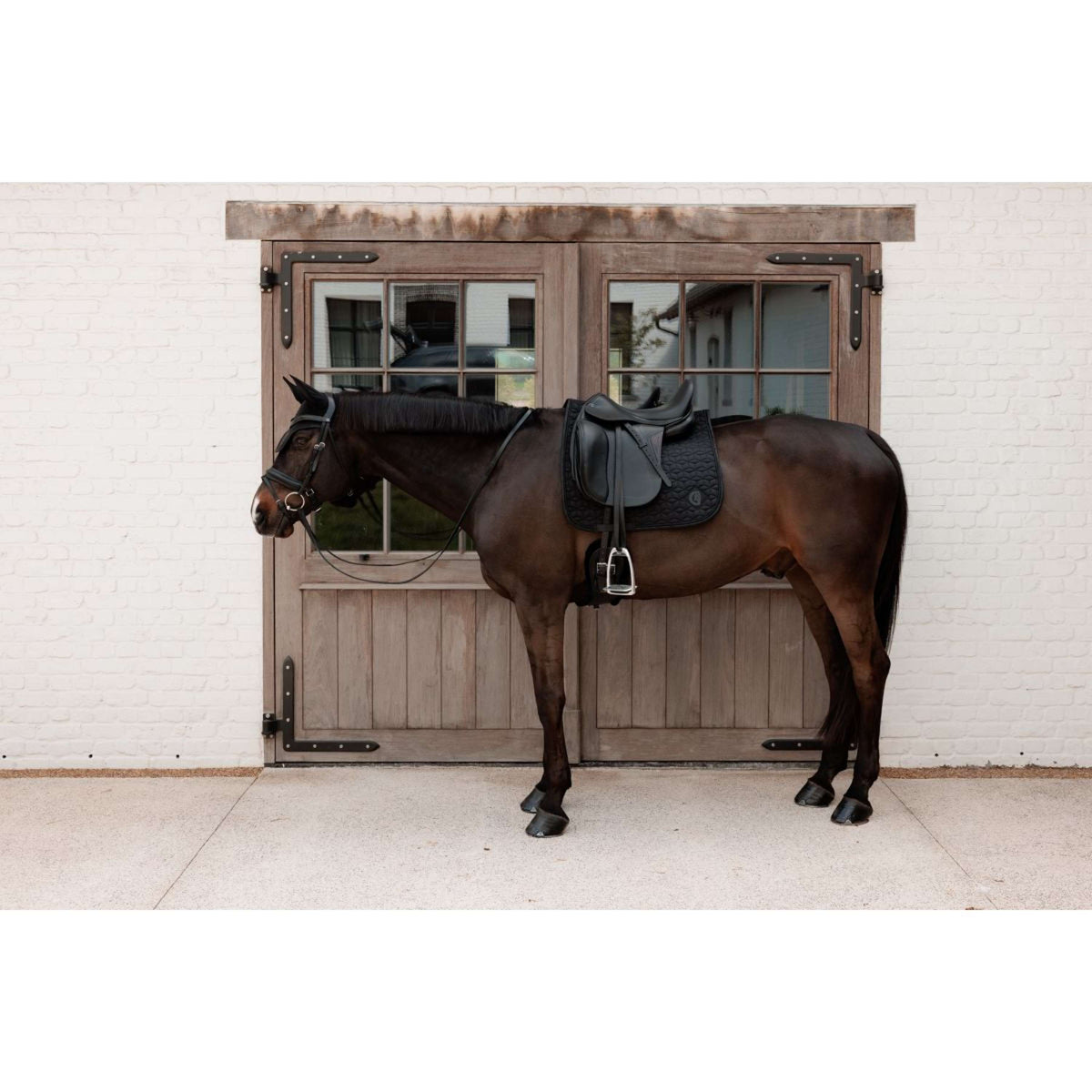 Kentucky Sottosella Sparkling Dressage Nero