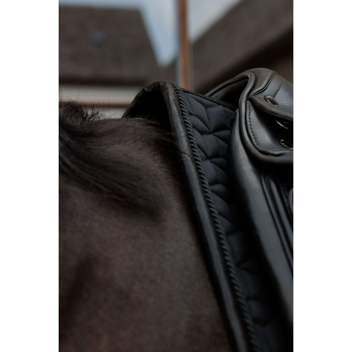 Kentucky Sottosella Sparkling Dressage Nero