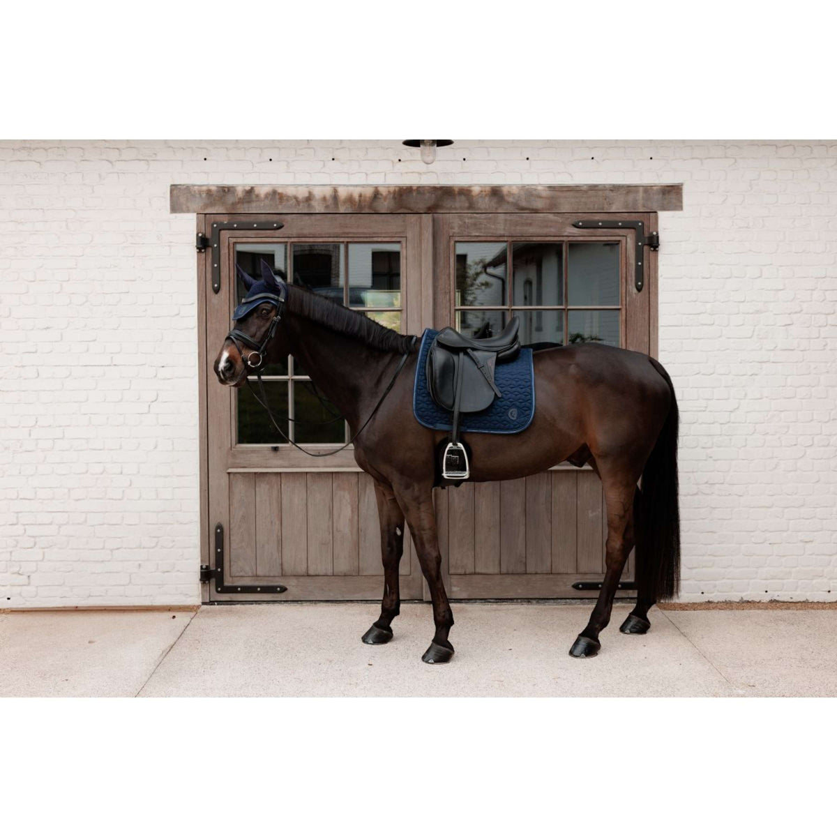 Kentucky Sottosella Sparkling Dressage Navy