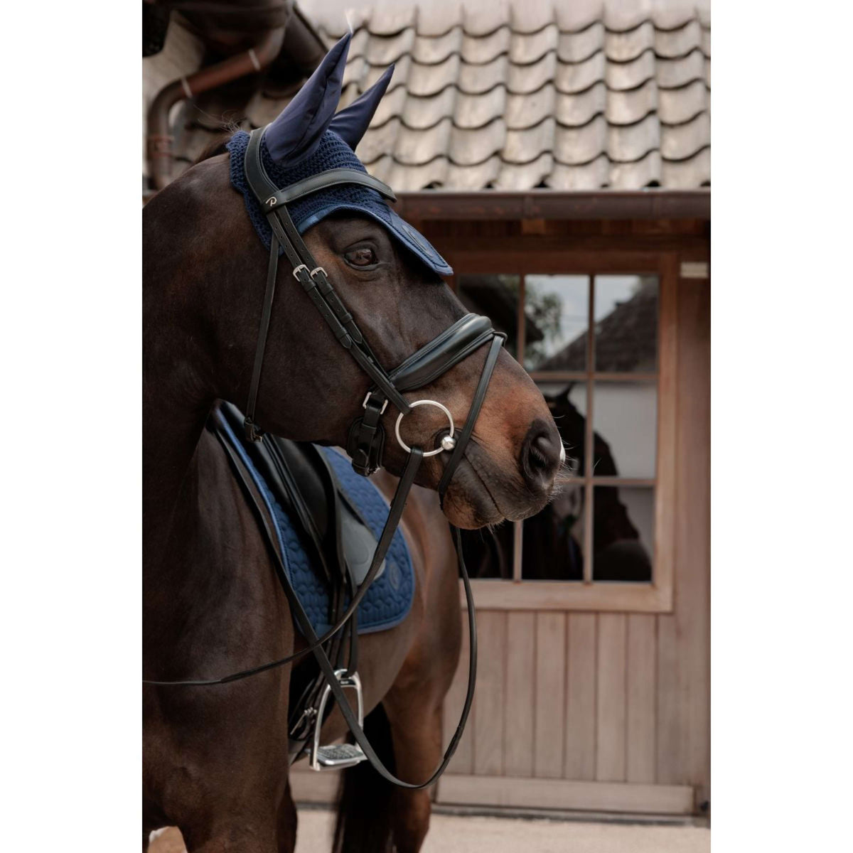 Kentucky Sottosella Sparkling Dressage Navy