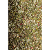 Grooming Deluxe by Kentucky Rilassa il cavallo giocattolo Wooden Freedom