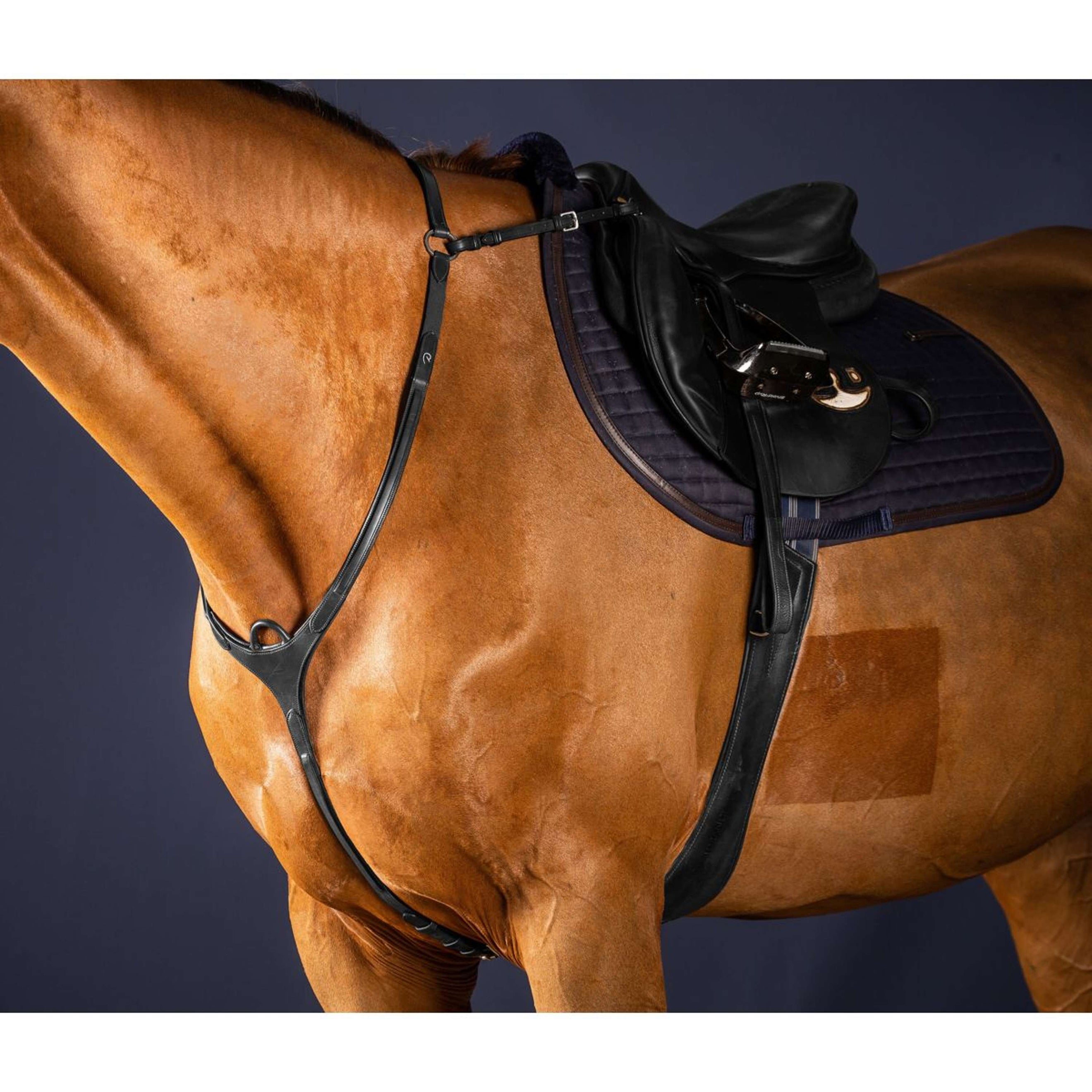 Dyon Pettorina Bridge New English Collection Nero