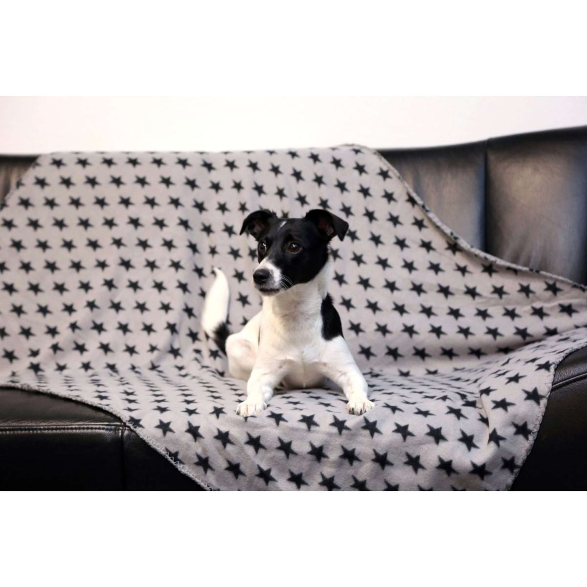 Kerbl Coperta per Cane Stella Grigio