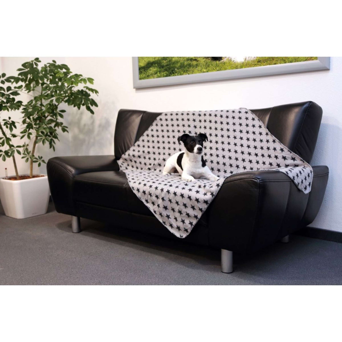 Kerbl Coperta per Cane Stella Grigio