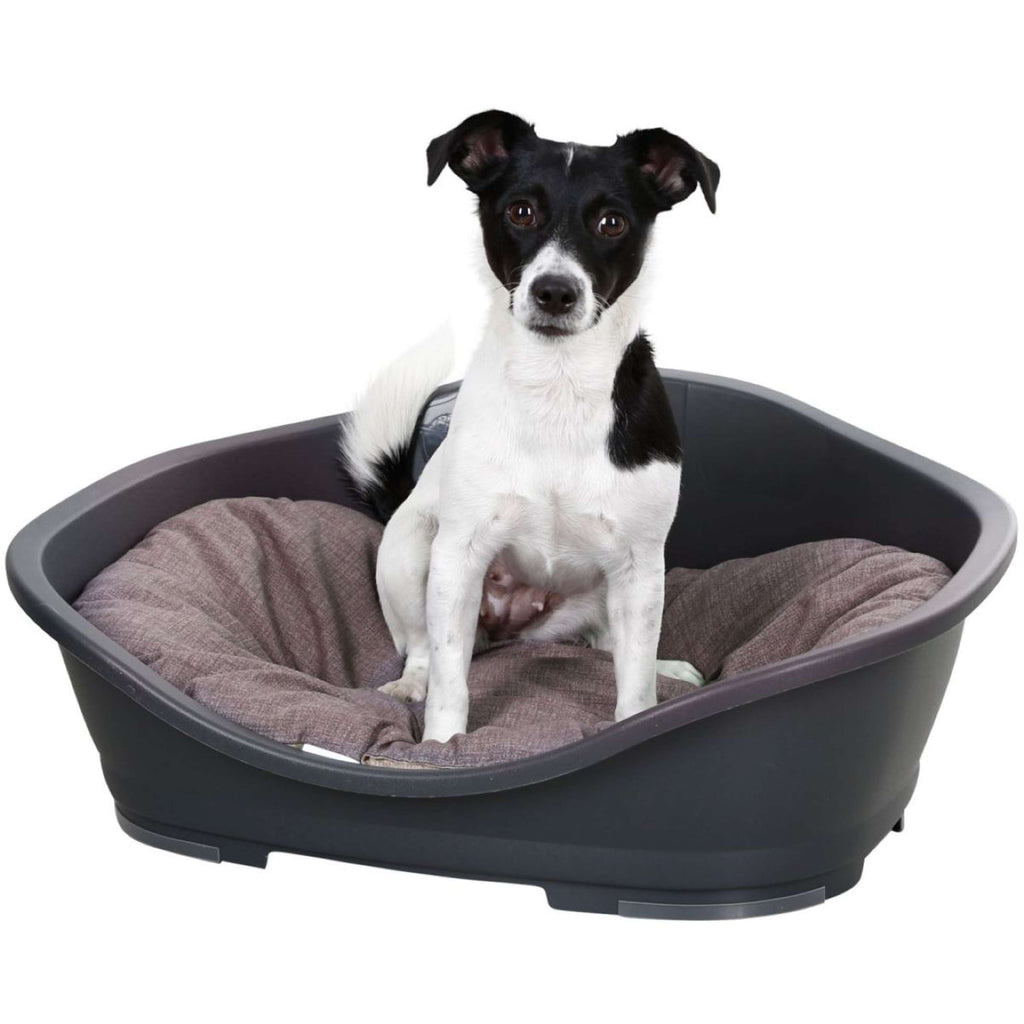 Kerbl Cuscino per Cane Loneta Marrone/Grigio