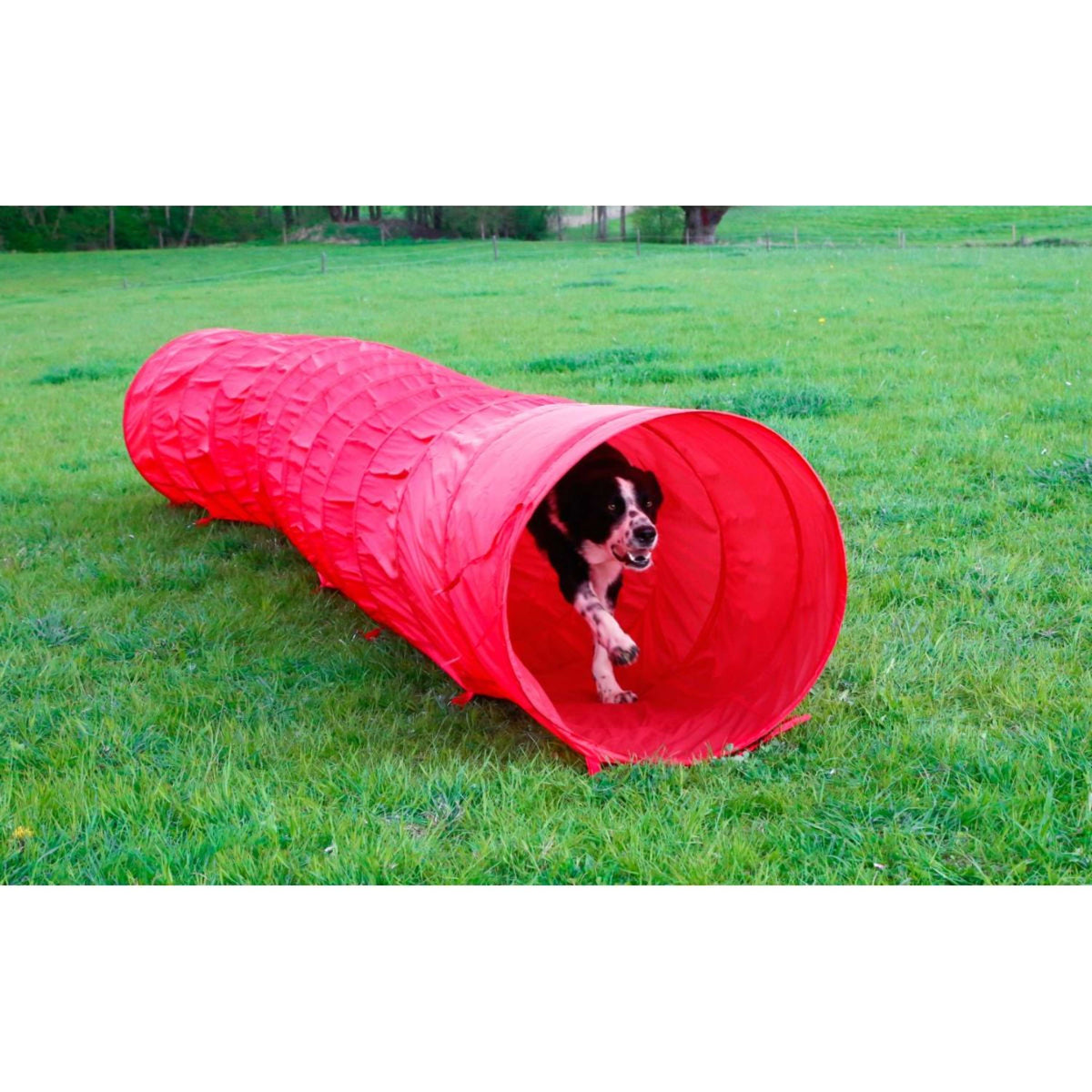 Kerbl Tubo Agility per Cani Rosso