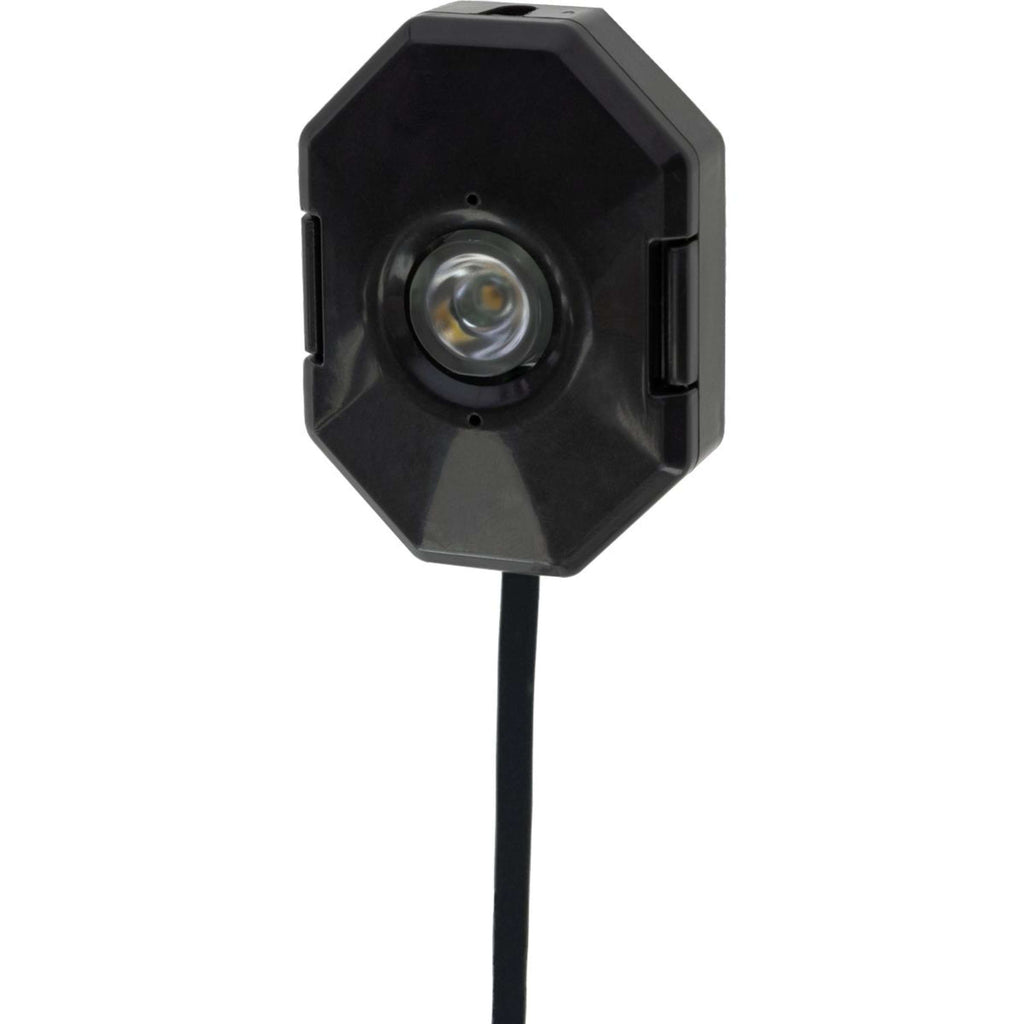 Smart Coop Illuminazione LED per stalla