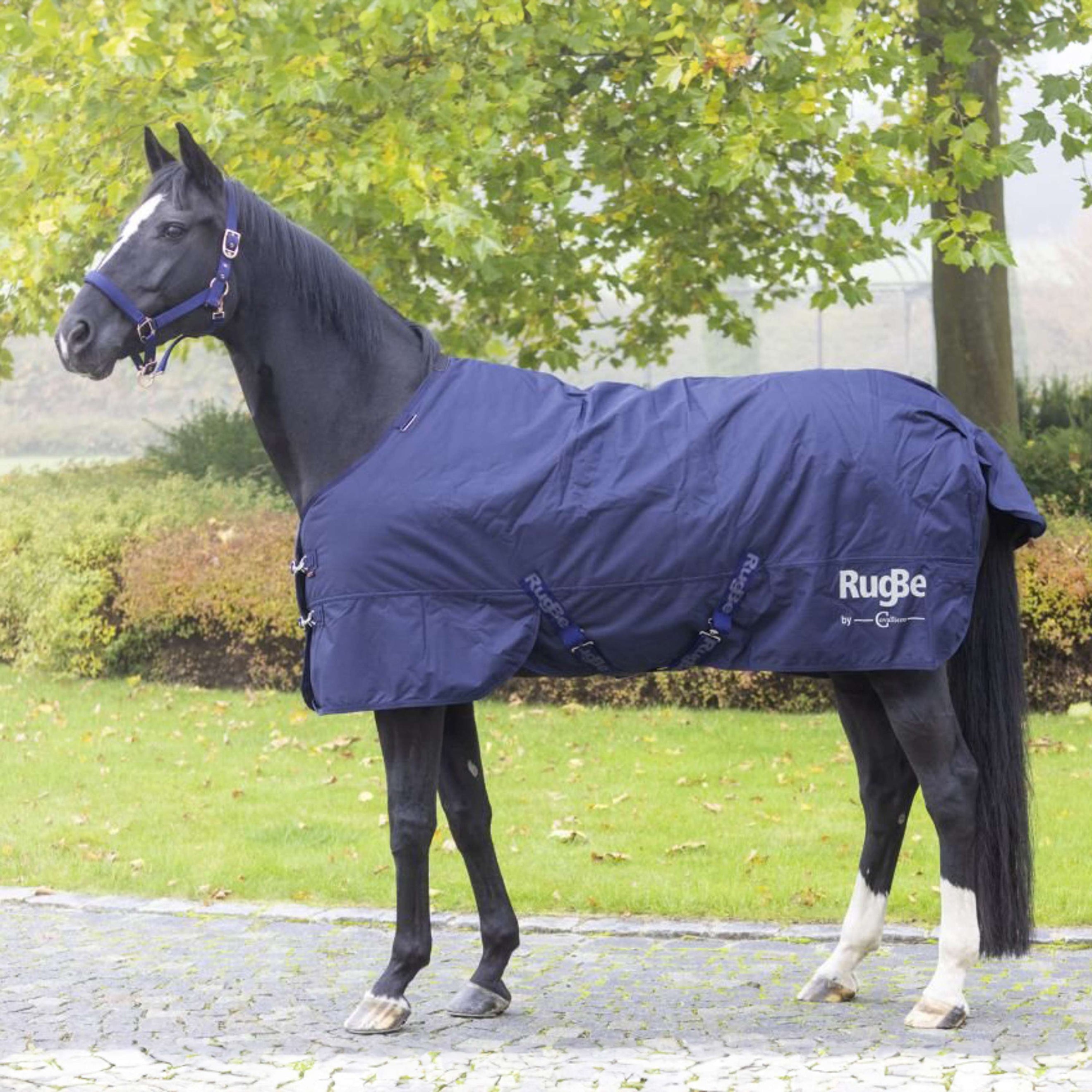 RugBe by Covalliero Coperta Invernale IceProtect 300g Dark Navy RugBe by Covalliero Coperta Invernale IceProtect 300g Dark Navy
