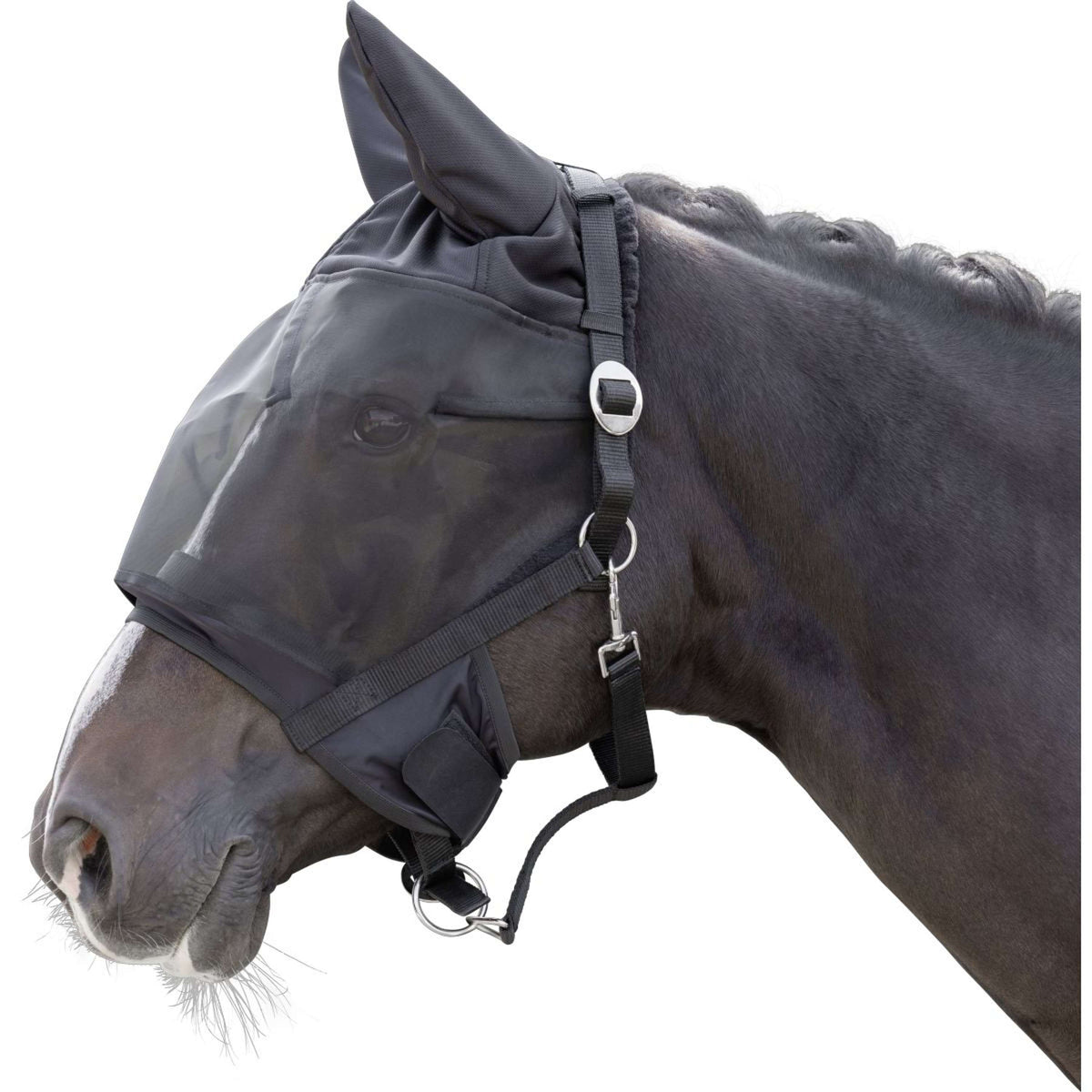 Kerbl Capezzina Nero