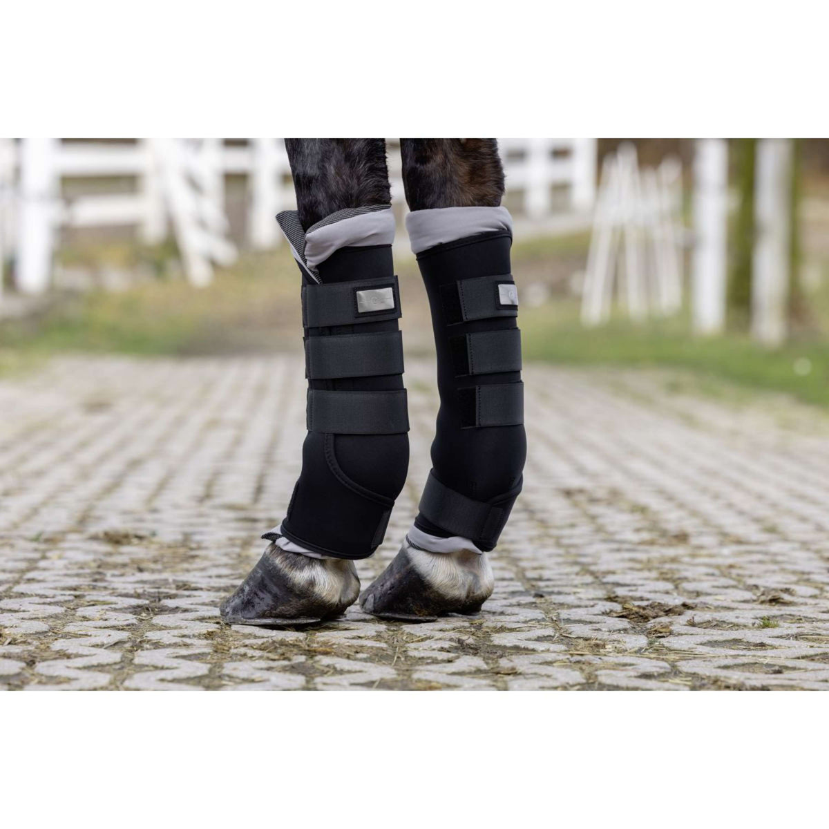 Covalliero Protettori da stalla Therm Nero