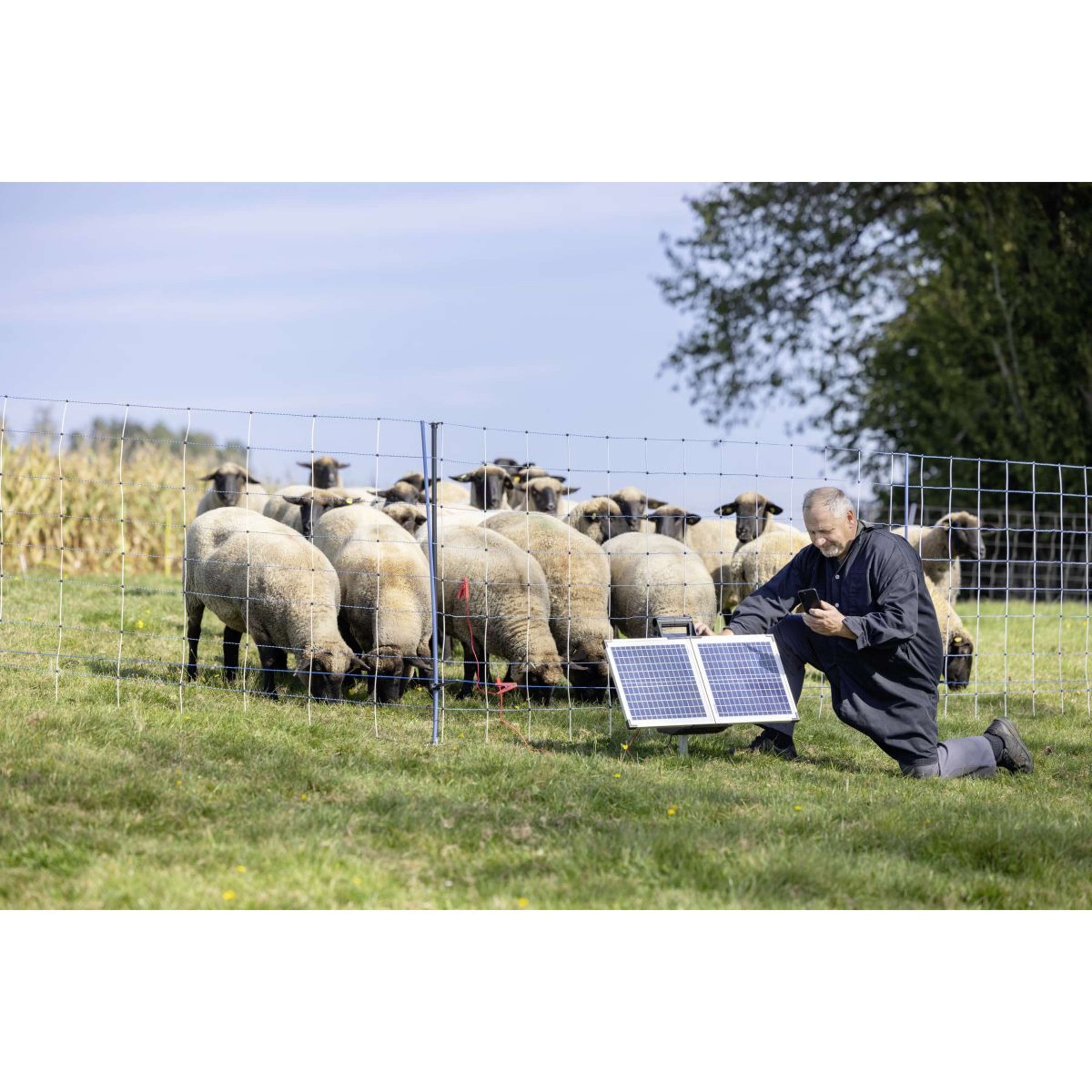 Ako Dispositivo per recinzioni elettriche SunPower S2400 Smart 12V
