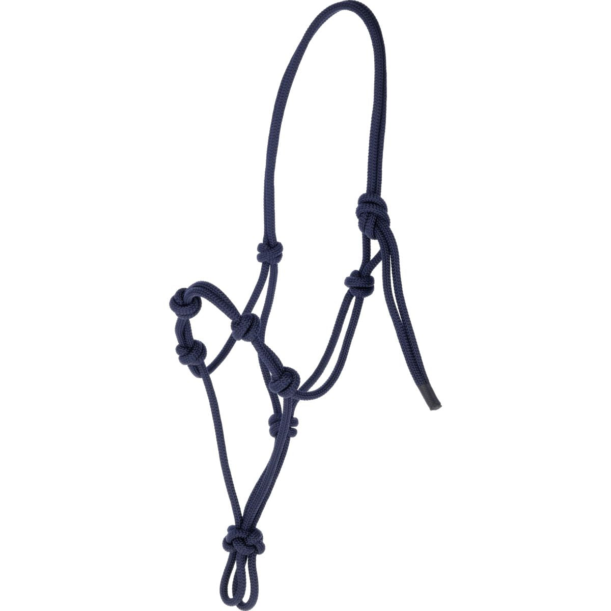 Covalliero Capestro in Corda Blu