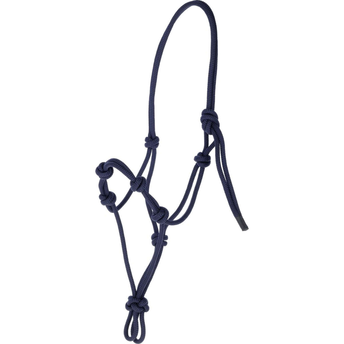 Covalliero Capestro in Corda Blu