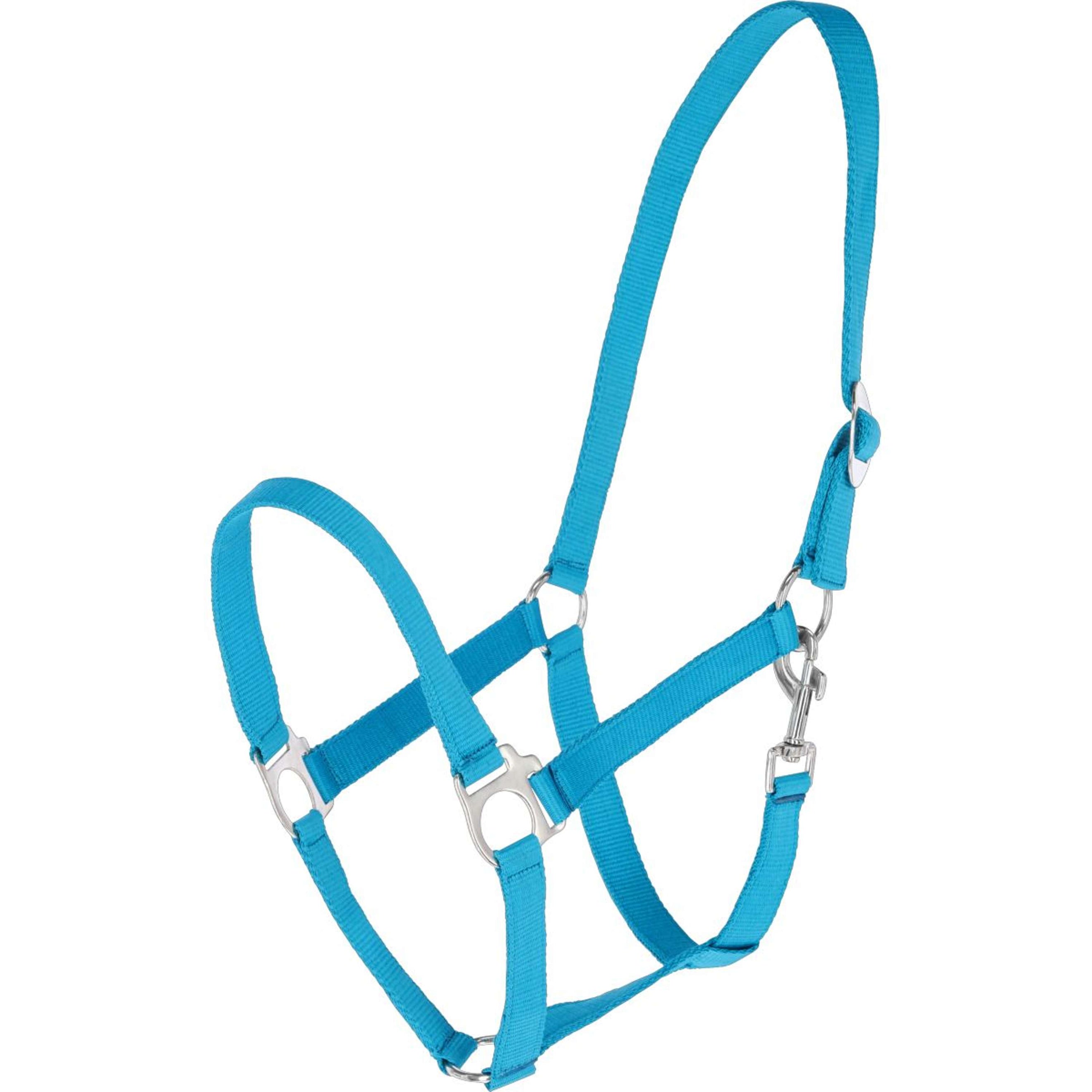 Covalliero Capezzina Hippo Blu