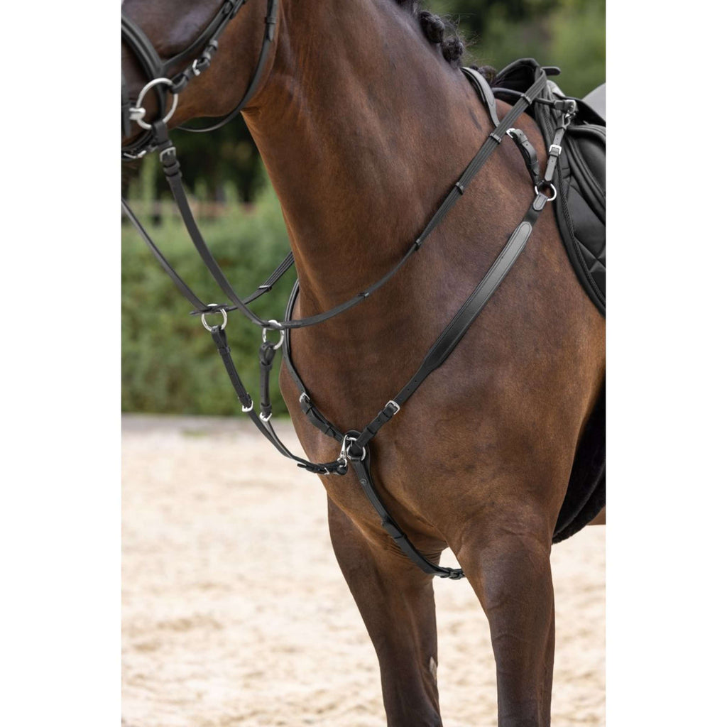 Covalliero Pettorina con martingala Nero