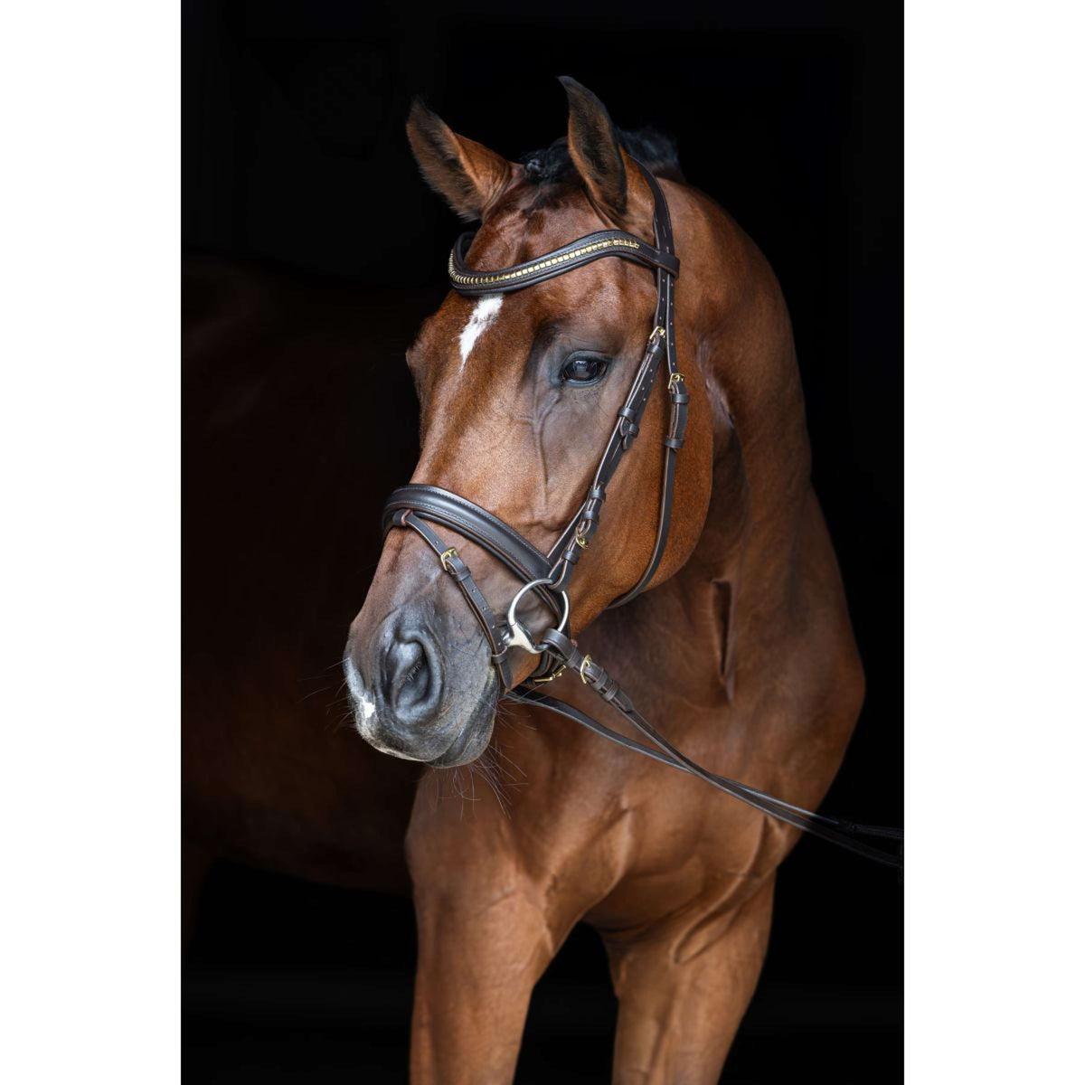 Covalliero Briglia Clincher Marrone